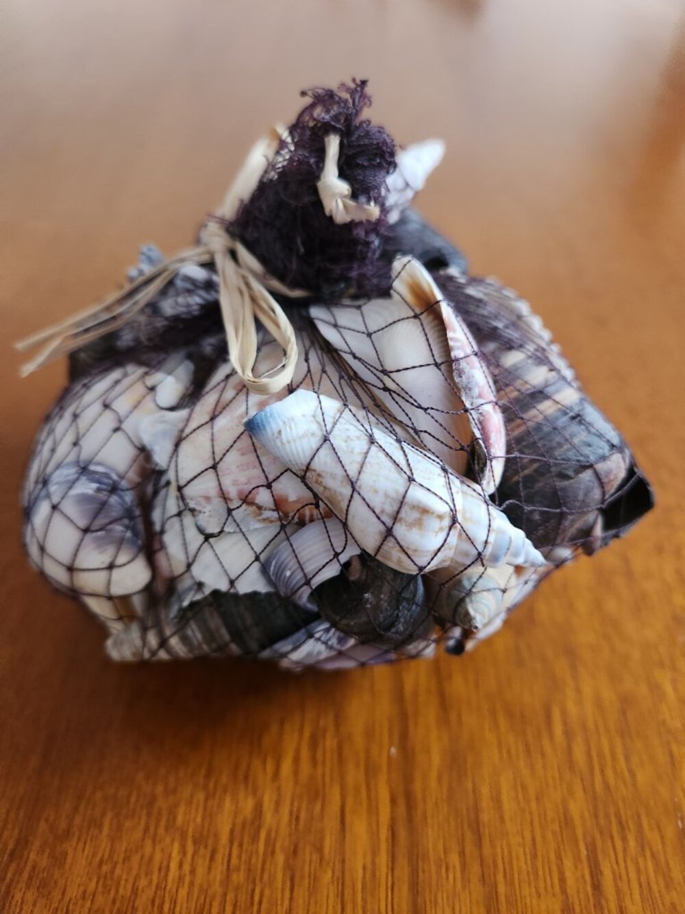 Pottery Barn Shells - Picture 2 of 5